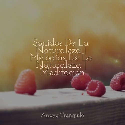 Calmar La Ansiedad cover art
