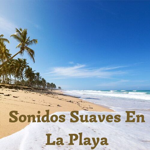 Sonidos Suaves En La Playa_poster_image