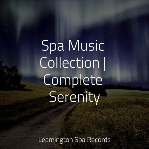 Focused, Relaxed cover art