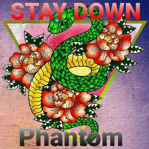 Stay Down_poster_image