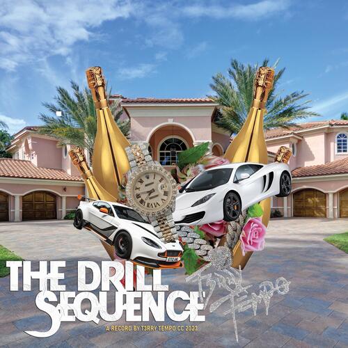 THE DRILL SEQUENCE_poster_image