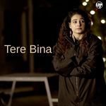 Tere Bina