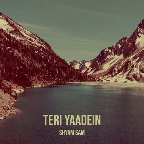 Teri Yaadein