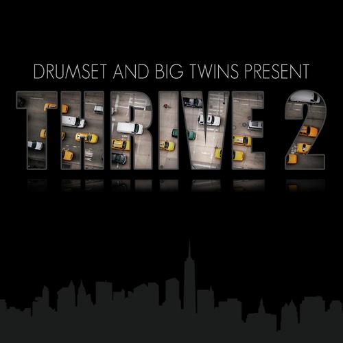 Thrive 2_poster_image