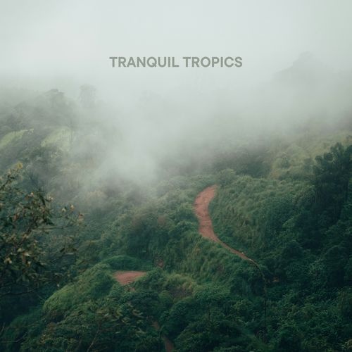 Tranquil Tropics