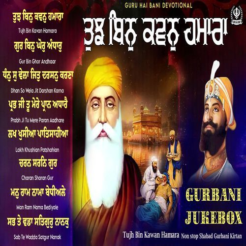 Tujh Bin Kawan Hamara Nonstop Shabad Gurbani Kirtan