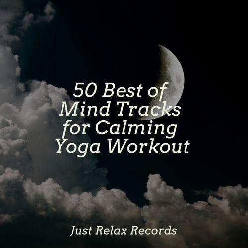 50 Best of Mind Tracks for Calming Yoga Workout