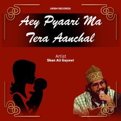 AEY PYAARI MA TERA AANCHAL-SCMcATlqQwQ