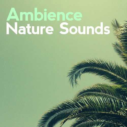 Ambience Nature Sounds