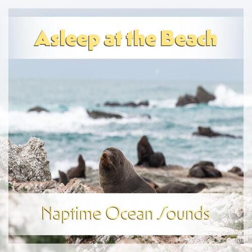 Asleep at the Beach: Naptime Ocean Sounds_poster_image