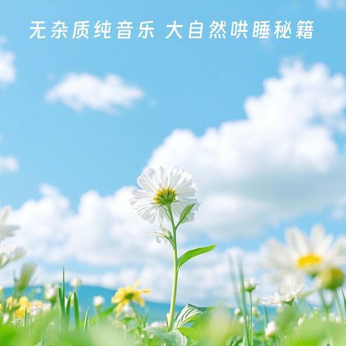 no.6 吉他助眠森林 鸟叫蛙鸣 cover art