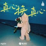 真心换真心