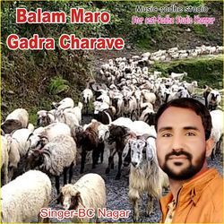 Balam Maro Gadra Charave-FDcOQUN,Dmw