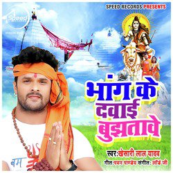Bhang Ke Dawai Bujhatawe - Single