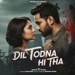 Dil Todna Hi Tha