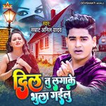 Dil Tu Lagake Bhula Gailu (Bhojpuri)