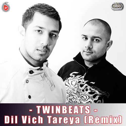Dil Vich Tareya (Remix)