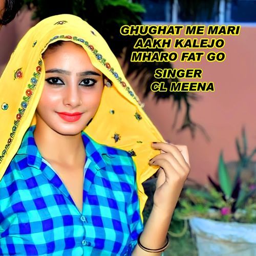 GHUGHAT ME MARI AAKH KALEJO MHARO FAT GO