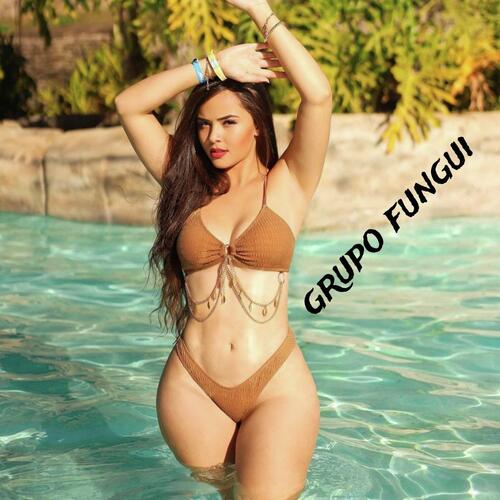 Grupo Fungui cover art