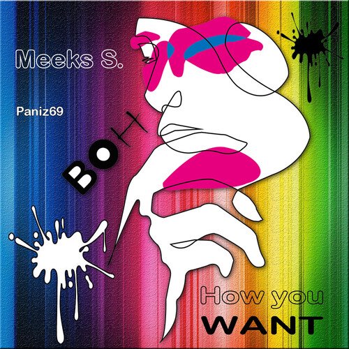 How You Want (Paniz69 remix) cover art