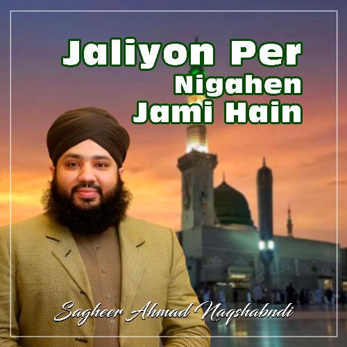 Jaliyon Per Nigahen Jami Hain - Single_poster_image