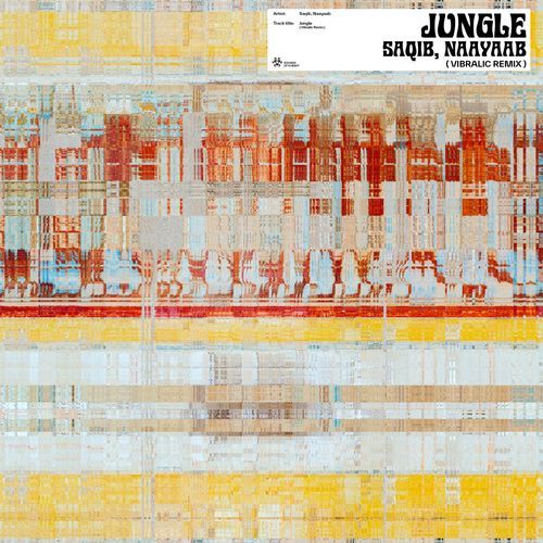 Jungle (Vibralic Remix)