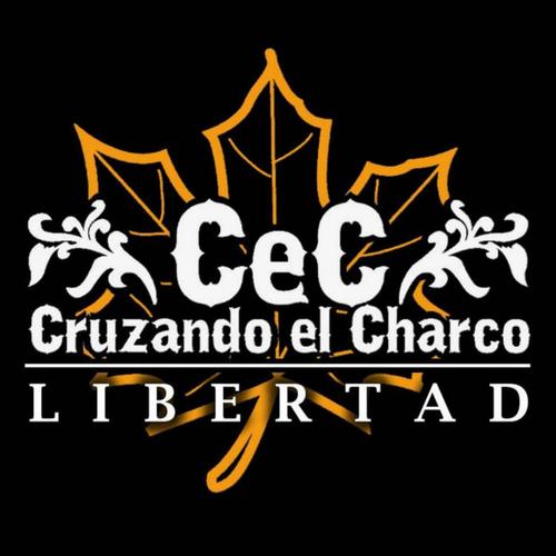 Libertad_poster_image