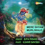 Mere Shyam Murliwale