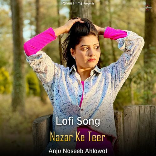 Nazar Ke Teer (lofi remix)