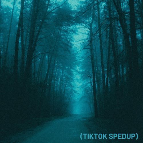 Oneheart (Tiktok Spedup) cover art