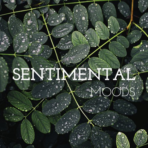 Sentimental Moods - Calm Background Music for Relaxation, Good Time to Relax_poster_image