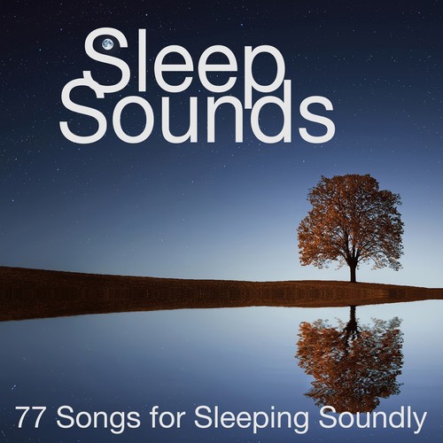 Deep Sleep Academy cover art