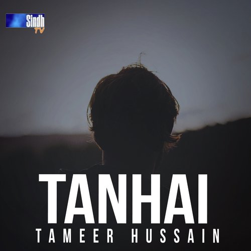 Tameer Hussain