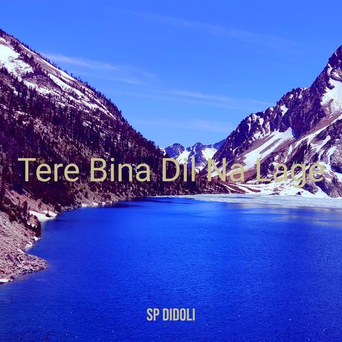 Tere Bina Dil Na Lage