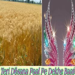 Teri Dilsana Paal Pe Dekhe Baat