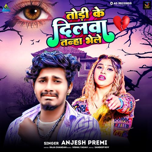 Todi Ke Dilwa Tanha Bhele