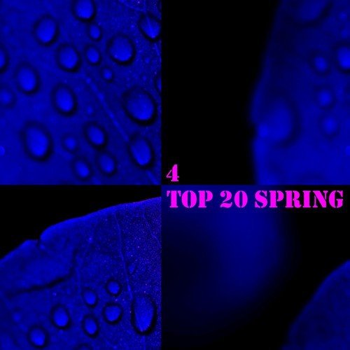 Top 20 Spring, Vol. 4