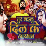 Tur Gailu Dil Ke Arman