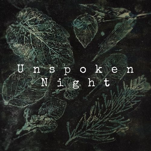 Unspoken Night