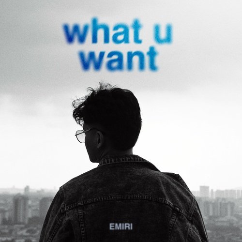 What U Want_poster_image