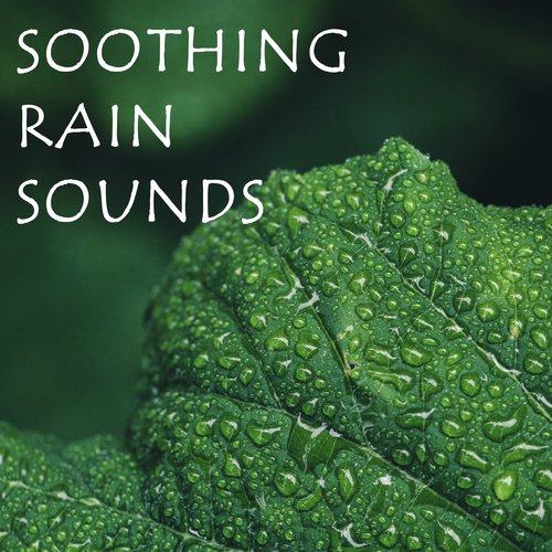 Raining - Song Download from 21 Spa Sounds - Ambient, Relaxing Rain for  Perfect Background Music @ JioSaavn