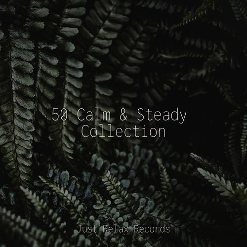 50 Calm & Steady Collection