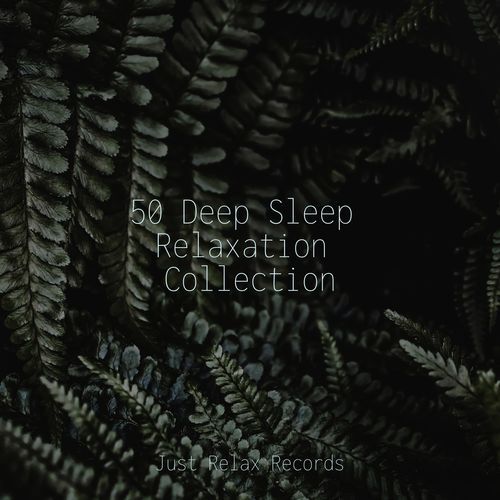 Midnight Meditationscape cover art