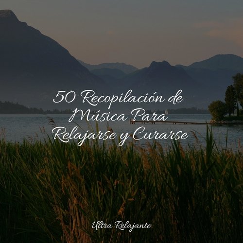 50 Recopilación de Música Para Relajarse y Curarse_poster_image