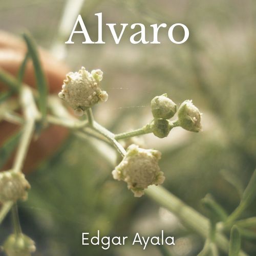 Alvaro cover art