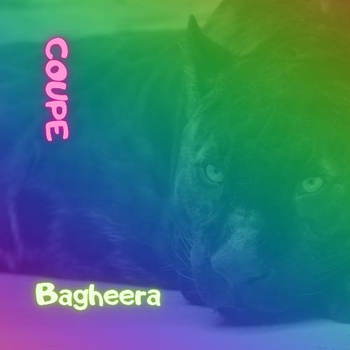 Bagheera