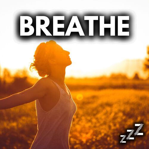 Bikram (Loopable) cover art