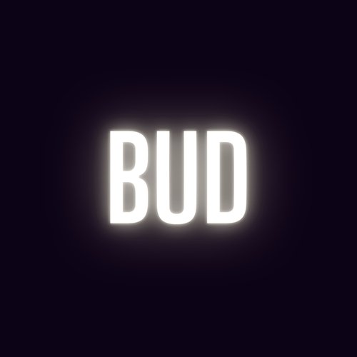 Bud_poster_image