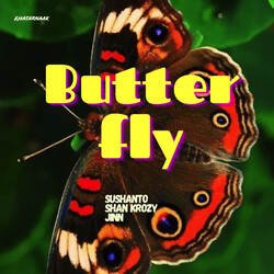 ButterFly-IiM7BDdfeV0