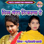 Dil Mera Thikana Hai